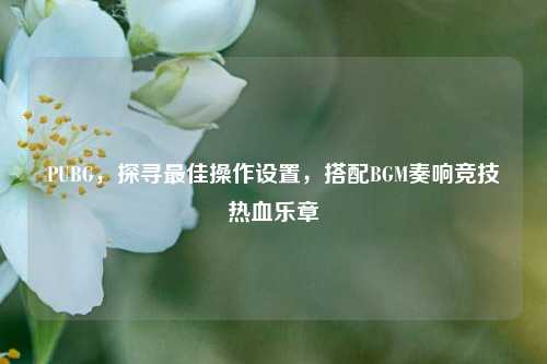 PUBG,探寻更佳操作设置,搭配BGM奏响竞技热血乐章