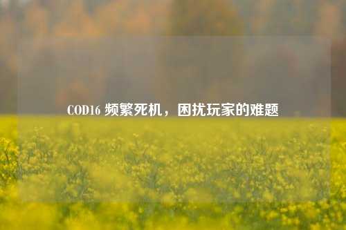 COD16 频繁死机,困扰玩家的难题