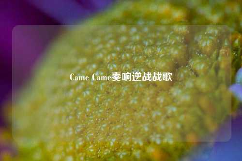 Came Came奏响逆战战歌