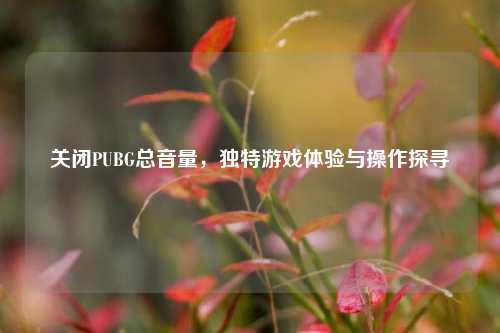 关闭PUBG总音量,独特游戏体验与操作探寻