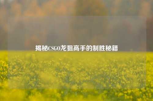 揭秘CSGO龙狙高手的制胜秘籍