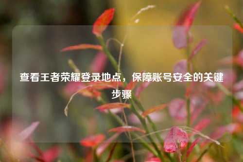查看王者荣耀登录地点,保障账号安全的关键步骤