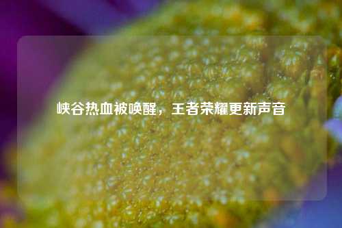峡谷热血被唤醒,王者荣耀更新声音