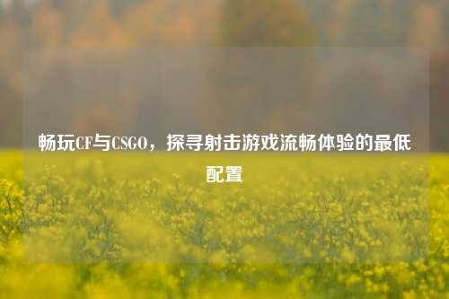 畅玩CF与CSGO,探寻射击游戏流畅体验的更低配置