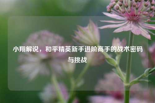 小翔解说,和平精英新手进阶高手的战术密码与挑战