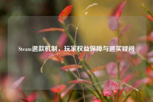 Steam退款机制,玩家权益保障与退买疑问