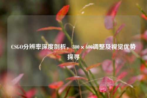 CSGO分辨率深度剖析,800×600调整及视觉优势探寻