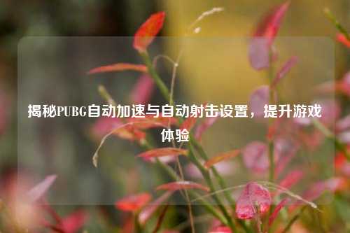 揭秘PUBG自动加速与自动射击设置,提升游戏体验