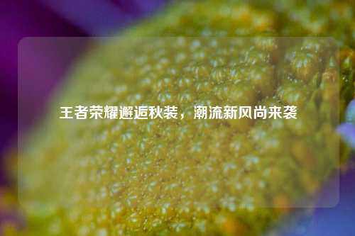 王者荣耀邂逅秋装,潮流新风尚来袭