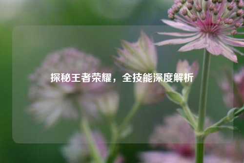 探秘王者荣耀,全技能深度解析