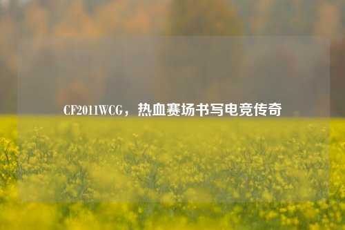 CF2011WCG,热血赛场书写电竞传奇