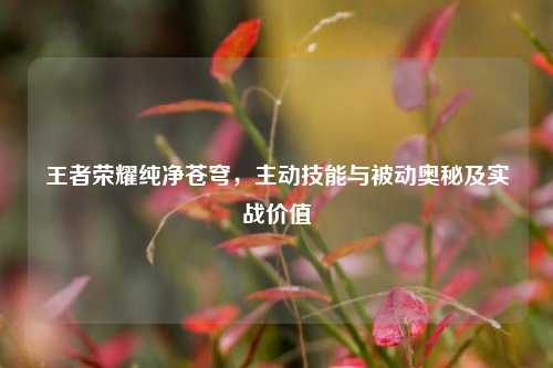 王者荣耀纯净苍穹,主动技能与被动奥秘及实战价值