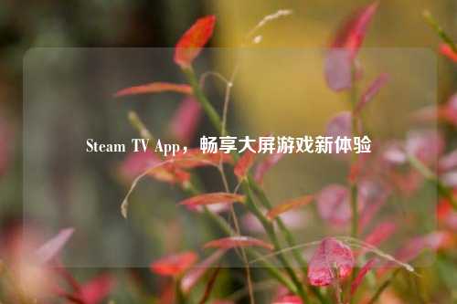 Steam TV App,畅享大屏游戏新体验