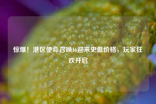 惊爆!港区使命召唤16迎来史低价格,玩家狂欢开启