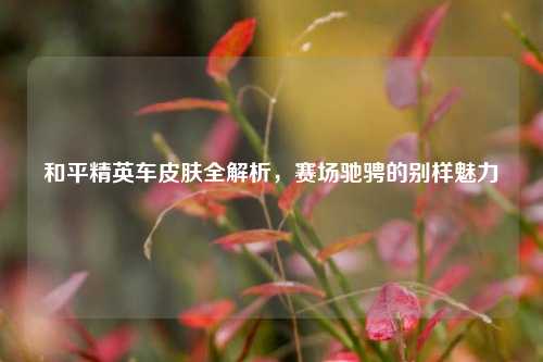 和平精英车皮肤全解析,赛场驰骋的别样魅力
