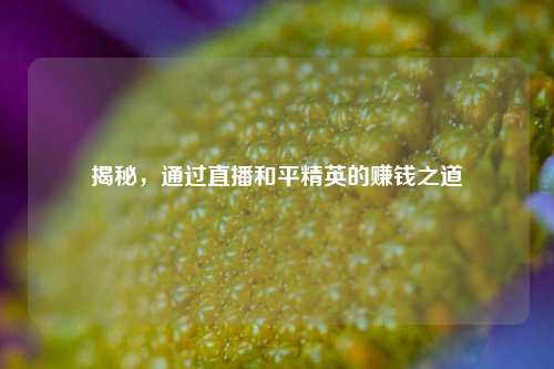 揭秘,通过直播和平精英的赚钱之道