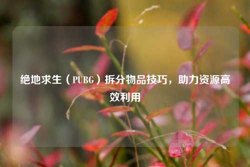 绝地求生(PUBG)拆分物品技巧,助力资源高效利用
