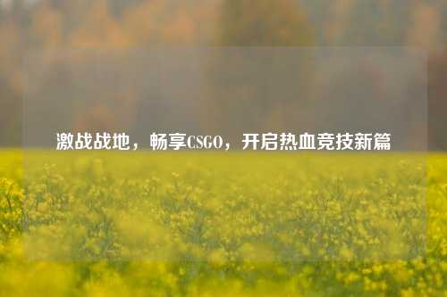 激战战地,畅享CSGO,开启热血竞技新篇