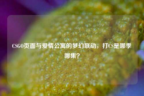 CSGO页面与爱情公寓的梦幻联动,打CS是哪季哪集?