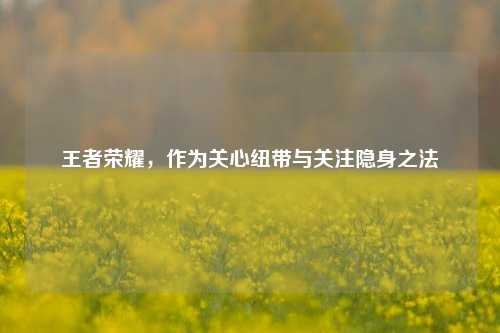 王者荣耀,作为关心纽带与关注隐身之法