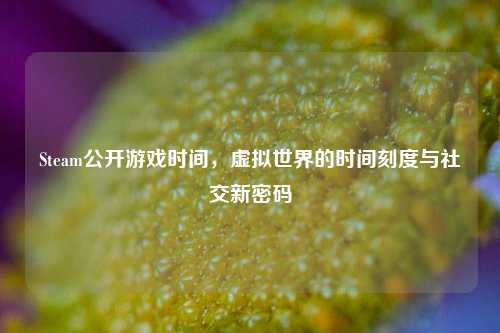 Steam公开游戏时间,虚拟世界的时间刻度与社交新密码