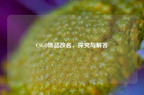 CSGO饰品改名,探究与解答