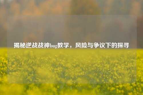 揭秘逆战战神bug教学,风险与争议下的探寻