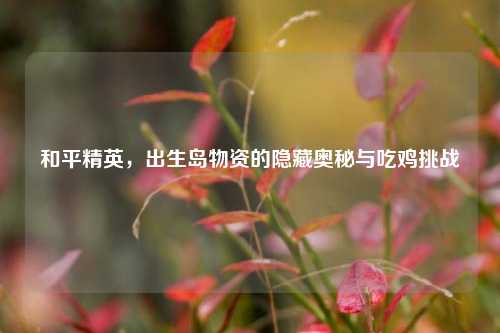 和平精英,出生岛物资的隐藏奥秘与吃鸡挑战