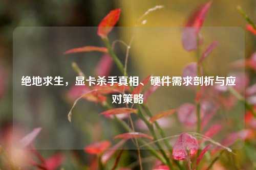 绝地求生,显卡杀手真相、硬件需求剖析与应对策略
