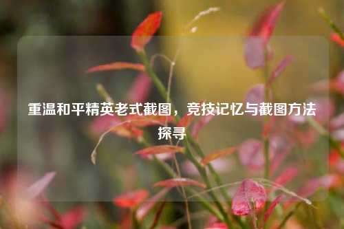 重温和平精英老式截图,竞技记忆与截图 *** 探寻