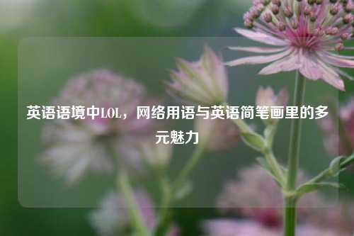 英语语境中LOL, *** 用语与英语简笔画里的多元魅力