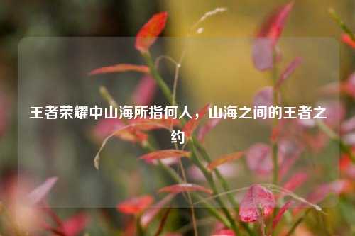王者荣耀中山海所指何人,山海之间的王者之约