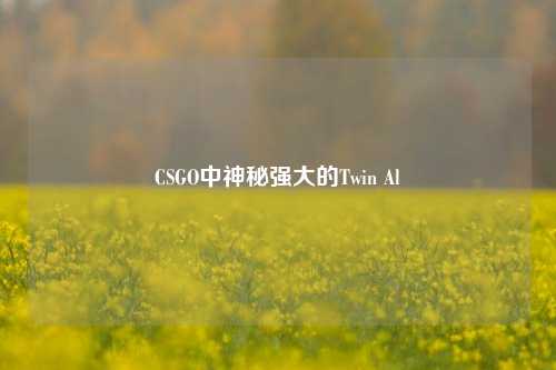 CSGO中神秘强大的Twin Al