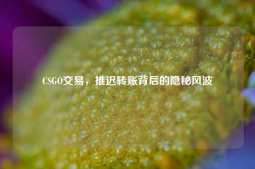 CSGO交易,推迟转账背后的隐秘风波