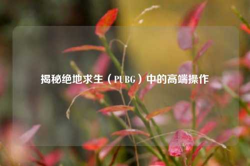揭秘绝地求生(PUBG)中的高端操作
