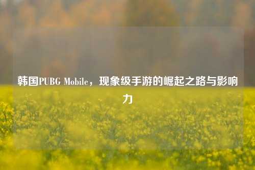 韩国PUBG Mobile,现象级手游的崛起之路与影响力