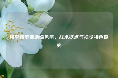 和平精英雪地绿色房,战术据点与视觉特色探究