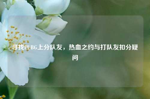 寻找PUBG上分队友,热血之约与打队友扣分疑问