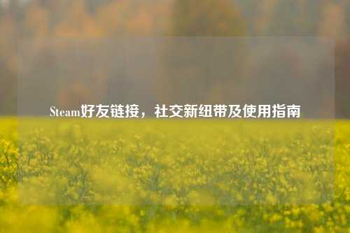 Steam好友链接,社交新纽带及使用指南