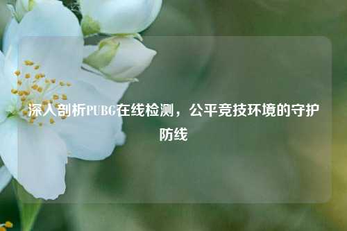 深入剖析PUBG在线检测,公平竞技环境的守护防线