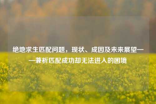 绝地求生匹配问题,现状、成因及未来展望——兼析匹配成功却无法进入的困境