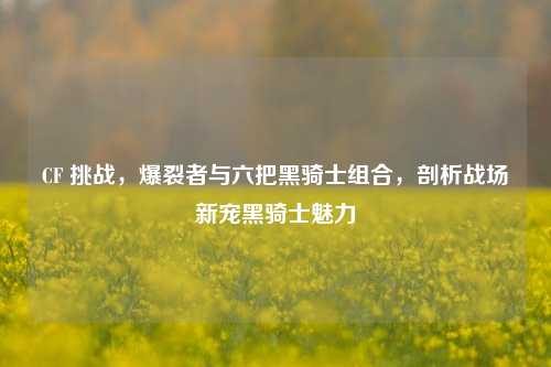 CF 挑战,爆裂者与六把黑骑士组合,剖析战场新宠黑骑士魅力