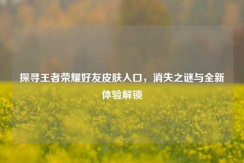 探寻王者荣耀好友皮肤入口,消失之谜与全新体验解锁
