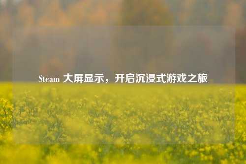 Steam 大屏显示,开启沉浸式游戏之旅