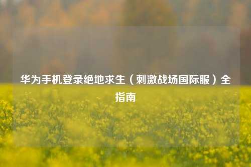 华为手机登录绝地求生（***战场国际服）全指南