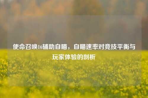 使命召唤16辅助自瞄,自瞄速率对竞技平衡与玩家体验的剖析