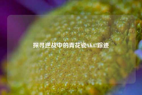 探寻逆战中的青花瓷AK47踪迹