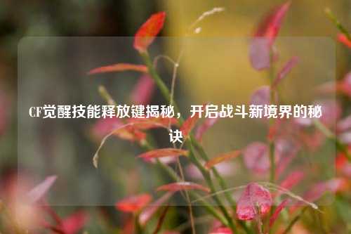 CF觉醒技能释放键揭秘,开启战斗新境界的秘诀