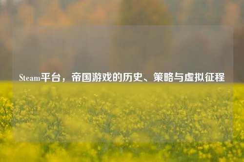 Steam平台,帝国游戏的历史、策略与虚拟征程