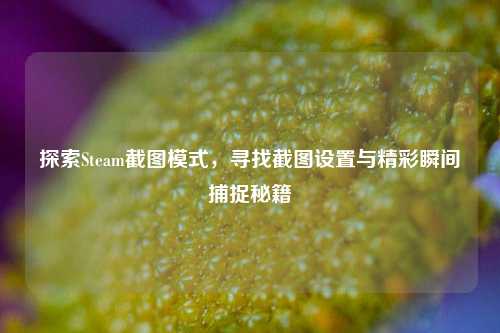 探索Steam截图模式,寻找截图设置与精彩瞬间捕捉秘籍